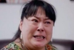 小宝姑姑爆料视频大全,揭秘幕后真相