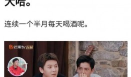 陈翔助理爆料视频大全,揭秘明星幕后故事