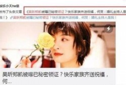 最新圈内人士爆料吴昕,圈内人士爆料揭秘