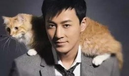 林峰近期爆料新闻视频,揭秘幕后的真实故事