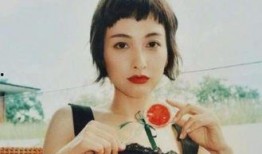 吴昕八卦爆料视频大全下载,揭秘明星幕后故事