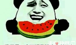 免费吃瓜的段子,笑料连连，揭秘网络段子背后的欢乐时光