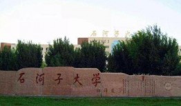 石河子大学爆料事件视频,视频揭露惊人真相