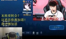 勇哥八卦爆料视频,视频爆料背后的惊人真相