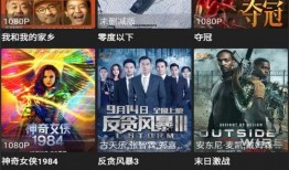 新版本宝典爆料视频,游戏新篇章即将开启