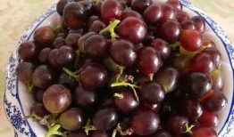 网红吃葡萄瓜,口感与颜值并存，网友直呼过瘾！