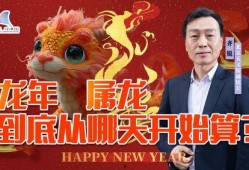 龙宝宝最新爆料视频,揭秘幕后真相，带你走进神秘世界