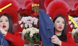 爆料李湘房东视频在线观看,视频曝光背后的豪宅生活