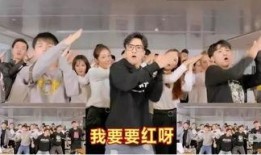 王老板爆料沙子哥视频大全,王老板爆料视频大全背后的故事
