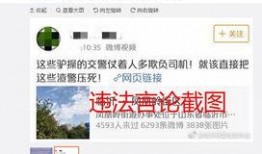 仆人语音台词爆料视频,幕后故事大曝光