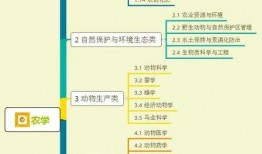 雷神泳装爆料视频大全集,性感与力量的完美融合