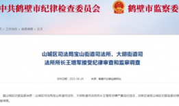 鹤壁耕德最新爆料信息查询,揭秘企业动态与市场走向