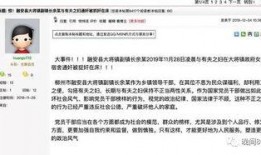 红豆网爆料新闻平台,揭秘娱乐圈最新热点事件