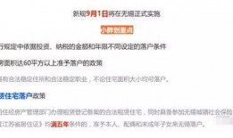物价爆料最新爆料网,揭秘市场动态，洞察消费趋势