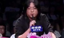 王源狗仔爆料视频播放在线观看,揭秘明星幕后生活瞬间