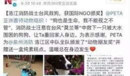 生活帮网友爆料视频,视频揭露惊人真相！
