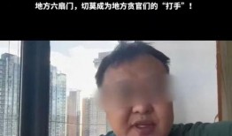 一位清华博士爆料视频,揭秘高校真实面貌